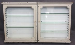EDWARDIAN MAHOGANY CHEMIST'S CABINETS, a pair, single glazed doors with adjustable interior glass