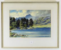WINSTON MEGORAM watercolour - Eryri landscape on a bright day, entitled verso on Warwick Fine Arts