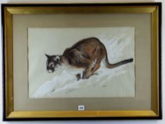 JEFFREY EVANS pastel - cougar or mountain lion in snow, signed and dated, 36 x 56cm