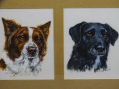 P T (TRISH) EVERS-SWINDELL oil on canvas - dog portraits in a double mount, 21.5 x 17cms each