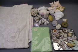 SEA SHELL & CORAL COLLECTION with a small quantity of household linen