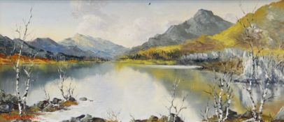 CHARLES WYATT WARREN oil on board - entitled 'Snowdon from Fachwen', signed, 23 x 54cms