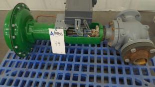 Fisher EZ & 667 Acutator and Valve