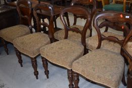 A set of six Victorian mahogany balloon back dining chairs having horse hair stuffed seats on