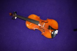 A traditional violin, labelled Piacenza