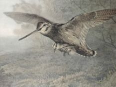 A pair of prints, after Archibald Thorburn, Hungary Woodcock, and a Labour of Love, framed and