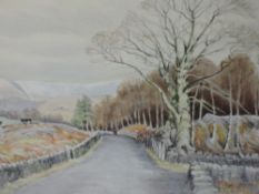 A watercolour, Neil Taylor, country lane, signed,framed and glazed, 36 x 49cm