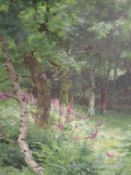 An oil painting, A Oliver, woodland glade with foxgloves, signed, framed and glazed, 73 x 53cm