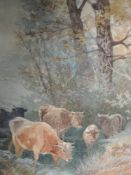 A watercolour, Tom Howden, cattle watering, signed, 46 x 30cm