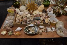 A colourful array of shells, tiny ones , larger ones, starfish, seahorses and corals,some really