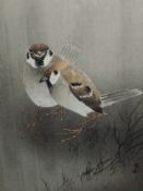 A print, after Ohara Koson, Sparrow birds, 31 x 18cm, framed and glazed