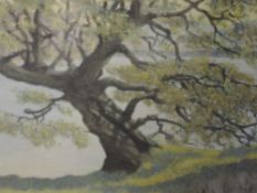 An oil painting, J E Rees, lakeside tree, signed, 38 x 48cm, framed and glazed