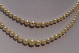 A double string of graduated cultured pearls having a pearl and amethyst set 9ct rose gold box