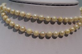 A string of cultured pearls of even form having a gold clasp. approx 25'