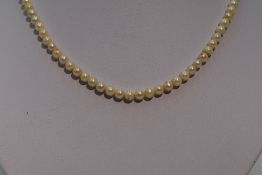 A string of cultured pearls of even form having a white metal box clasp stamped silver, approx 16'