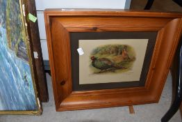 A print of two Pheasants, mounted and in pine frame.