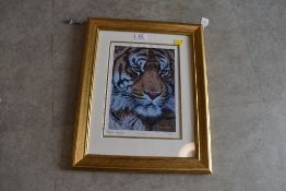 Signed and limited edition print after Stephen Gayford.