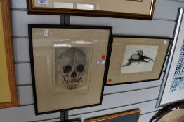 Two framed original photographs one depicting Hercules beetle the other German soldier skull.
