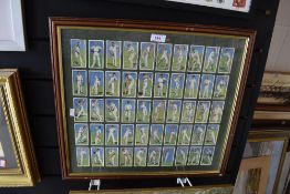 A framed set of Players cigarette cards or cricket interest.