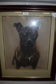A pastel of a Staffordshire Bull terrior, entitled Axel and signed Peter Hogarth,2000.