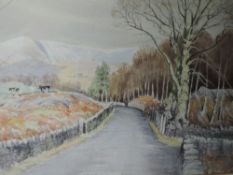 A watercolour, Neil Taylor, country lane, signed, 36 x 49cm, framed and glazed