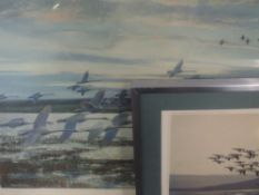 A Ltd Ed print after Peter Scott, geese, signed and numbered 169/250, 55 x 68cm, framed and