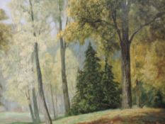 An oil painting on board, David Mead, Bury Hill Woods, Surrey, signed, 58 x 74cm, framed