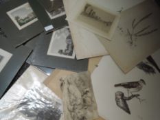 Seven engravings, inc after Bird, Gilhead House, 12 x 16cm, and a portfolio of pictures, inc
