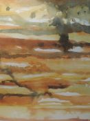 A watercolour, Nancy Tingey, Terraces Tinoi, signed and dated (20)01, 35 x 24cm, framed and glazed