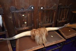 A pair of Highland horns