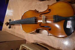 A traditional violin, labelled Primavirera