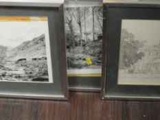 Three sketches, C W Thompson, woodland farmstead, signed, and dated 1980, 26 x 26cm, river bank,