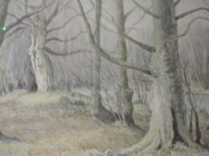 A watercolour, Neil Taylor, woodland scene, signed, 37 x 50cm, framed and glazed