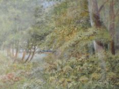 A watercolour, Elizabeth H Lawrence, Woodland in Summer, signed and attributed verso, 18 x 25cm,
