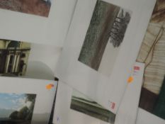 Six limited edition prints, inc after John Williams, The New landscape, numbered 24/50. Signed, 44 x