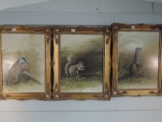 Three oil paintings on board, Mike Nance, Badger, Red Squirrel, and Otter, signed, 40 x 30cm, framed
