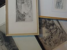 Four etchings, inc after T S Chester, woodland, 20 x 30cm, framed and glazed