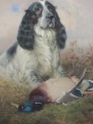 An oil painting, William Woodhouse, Retrieved, gun dog study, signed, 50 x 39cm, framed and glazed