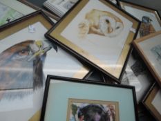 A selection of watercolours, bird stidies, inc M Bannister, Barn Owl, 25 x 20cm