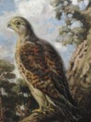 An oil painting on board, George Anderson Short, Peregrine falcon, signed and attributed verso, 40 x