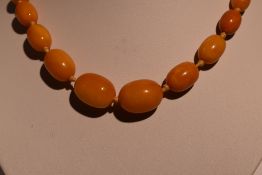 A short string of graduated butterscotch amber of oval form, approx 18' & approx 33.9g