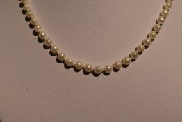 A string of cultured pearls of even form having a yellow metal clasp stamped 9K, approx 16'