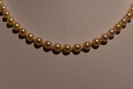 A string of cultured pearls of even form having 9ct gold clasp, approx 16'