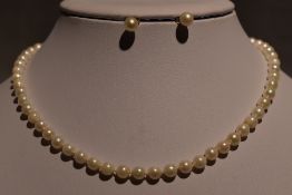A string of cultured pearls of even form having yellow metal clasp, approx 16' and a pair of matched