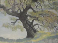 An oil painting, J E Rees, lakeside tree, signed, 38 x 48cm, framed and glazed