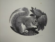 Four Ltd Ed prints, after Geldart, wildlife, squirrel, fox, hedgehog, mouse, numbered 48/250, each