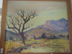 An oil painting, P Boch, Lakeland landscape, signed , 45 x 54cm, framed