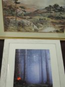 A print after GBB, trees, 42 x 31cm, framed and glazed, and a print, highland cattle, 39 x 54cm,