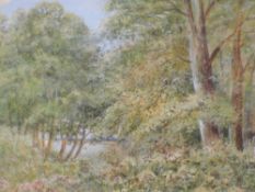 A watercolour, Elizabeth H Lawrence, Woodland in Summer, signed and attributed verso, 18 x 25cm,