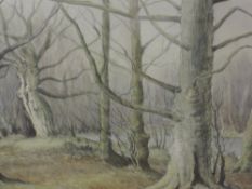 A watercolour, Neil Taylor, woodland scene, signed, 37 x 50cm, framed and glazed